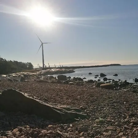 Reposaaren Palasaarta *
